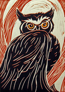 Don't Give a Hoot (white paper)