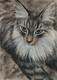 Maine Coon 12X9 charcoal